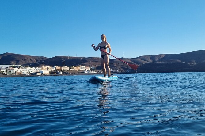 2-Hour Private Stand Up Paddle Activity - Public Transportation and Pregnancy Recommendation