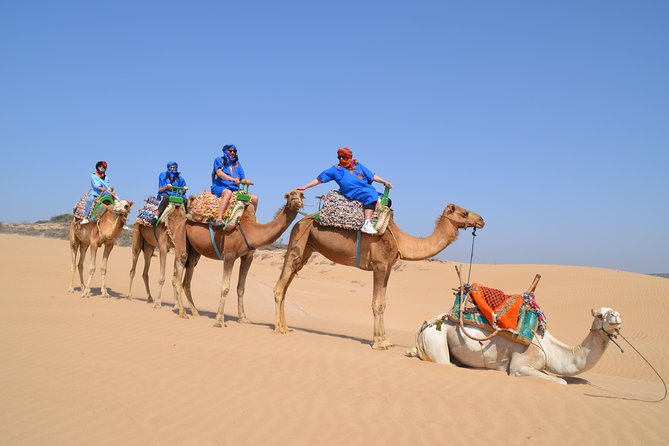 2-Hour Walks to Discover Essaouira - What To Expect