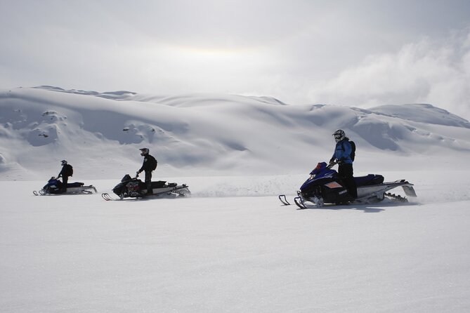 2 Hour Wilderness Adventure Snowmobile Tour - Booking and Customization Options