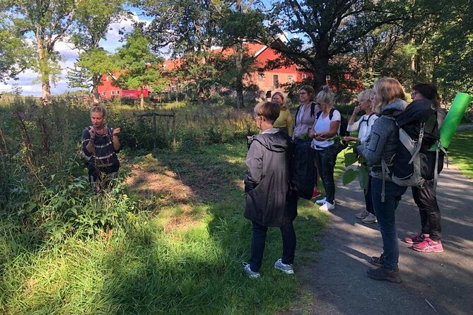 2- Hours Herb Walking Tour - Meeting and Pickup