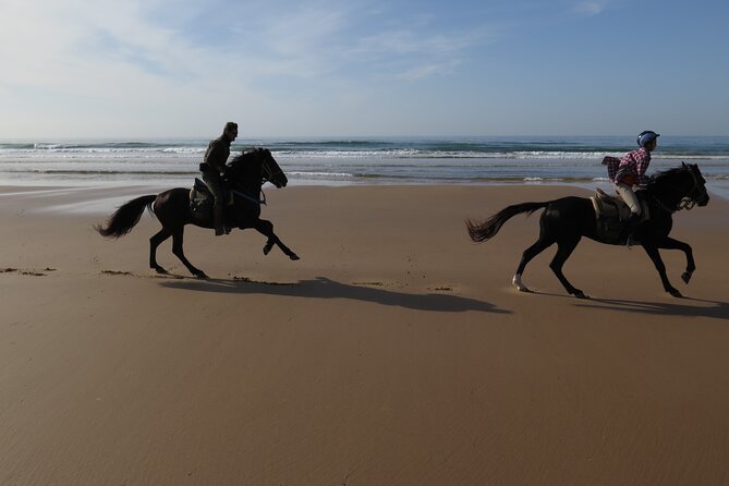 2 Hours Horse Ride Beach and Dunes in Essaouira Morocco - Overview and Inclusions