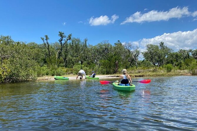 2 Hours Kayak Eco Tour in Tarpon Springs - Wildlife Spotting and Mangrove Exploration