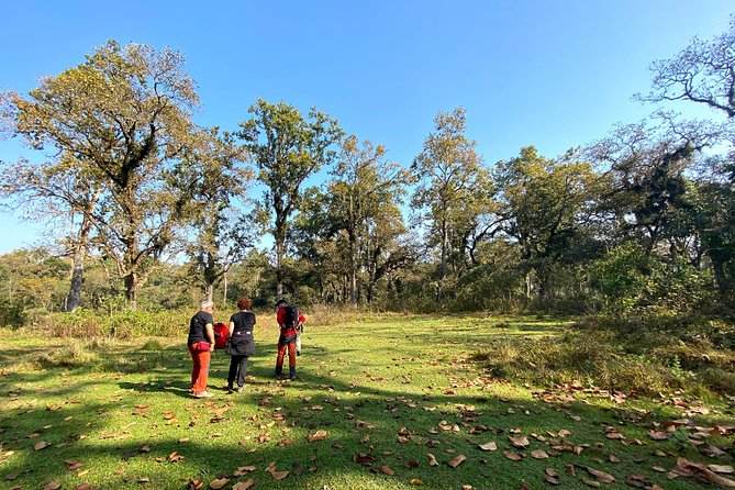 2 Hours Nature Walk in Chitwan National Park - Wildlife Spotting