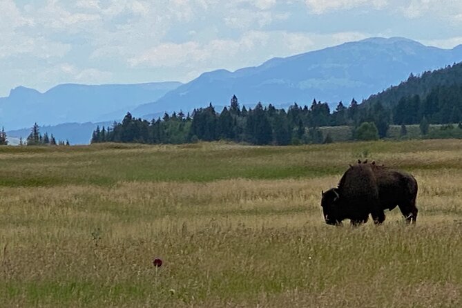 2-Person Grand Teton All-Day Private Tour - Meeting and Pickup