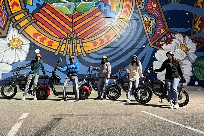 2hr Dallas Mural Tour on Talking E-Bike - Ride It Yourself - Ride at Your Own Pace and Uncover Stunning Murals