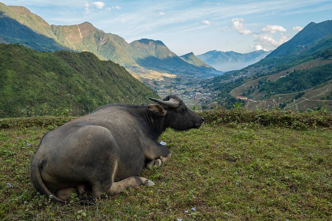 3 Day 2 Night Trek - Cancellation Policy and Pricing