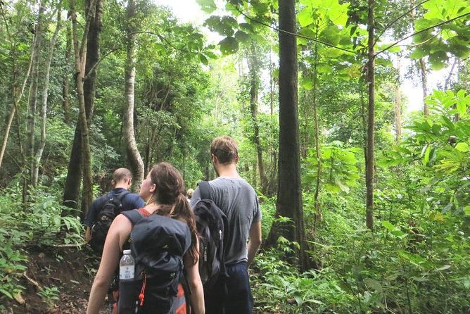 3-Day Chiang Dao Mountain Trek - Itinerary