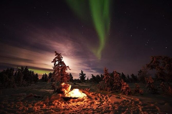 3-Day Guided Tour to Yellowknife Aurora Viewing - Pickup and Logistics