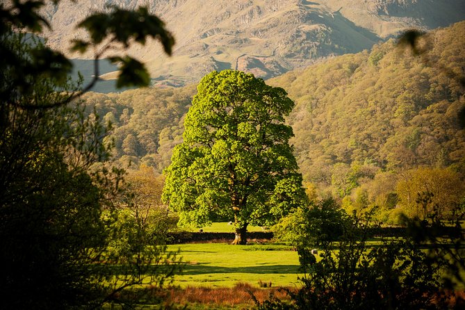 3-Day Lake District Explorer Small-Group Tour From Edinburgh - Tour Guides and Expertise