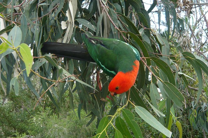 3-Day Private Adelaide to Melbourne Tour - Weather and Minimum Travelers