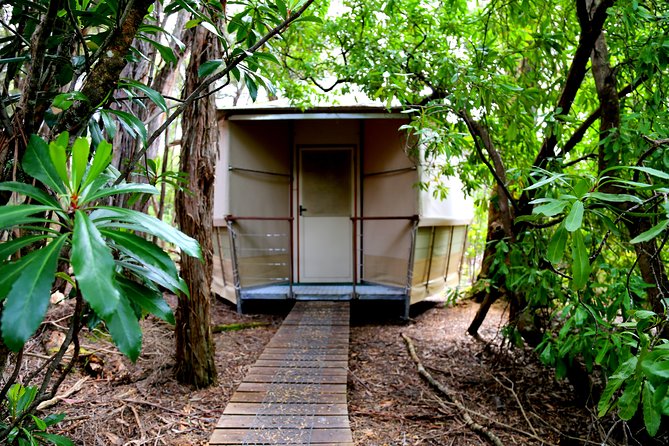 3-Day Southwest National Park Wilderness Camping Tour - Cancellation Policy
