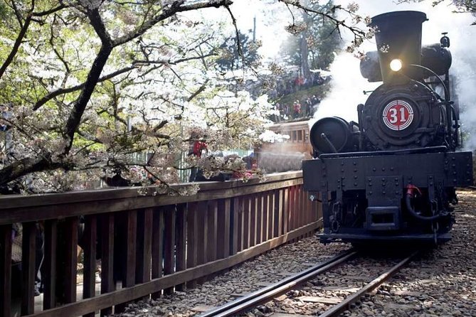 3-day Taiwan History and Nature Premium Private Tour - No-Show Policy