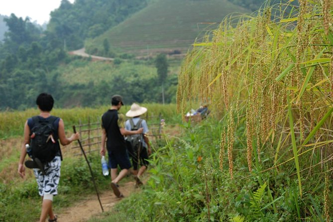3-Day Trek in Amazing Muong Hoa Valley & Ethnic Homestay - Authentic Ethnic Homestay Experience