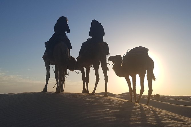 3-Day Tunisia Sahara Desert Camel Trek From Douz - Essential Packing List