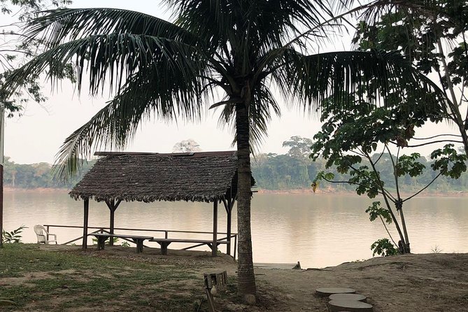 3 Days 2 Nights - Tambopata Jungle - Travel Tips and Recommendations