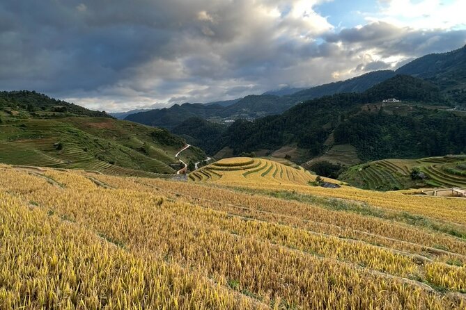 3 Days and 2 Nights Sapa Trek With Local Guide by Comlam - Booking Information and Pricing