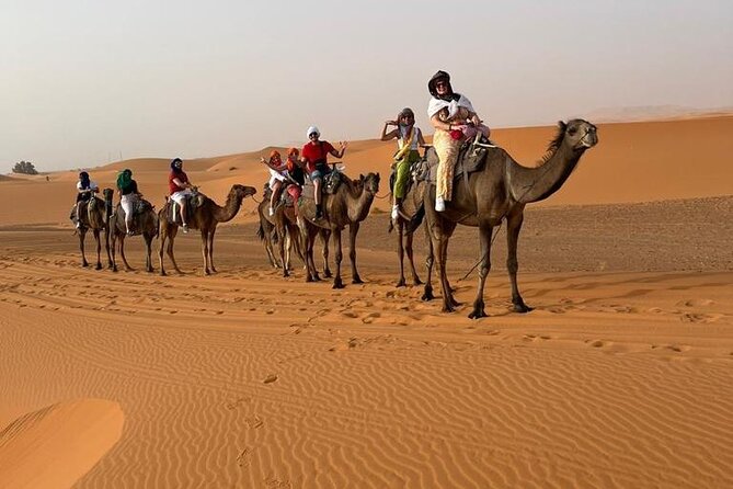 3 Days Desert Tour From Marrakech to Merzouga Dunes & Camel Trek - Logistics and Pickup Details