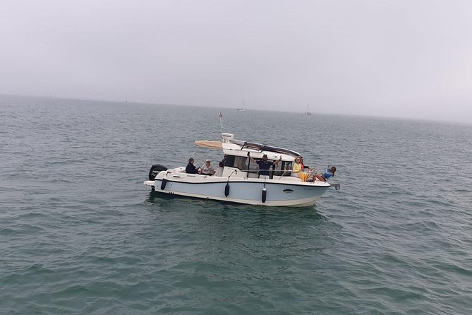 3-Hour Boat Ride Through the Bay of Cadiz - Accessibility and Travel Information