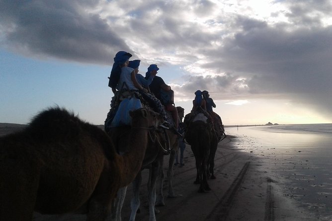 3-Hour Camel Ride at Sunset - Booking and Reservation