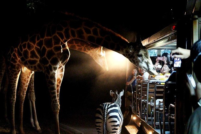 3-Hour Chiang Mai Night Safari - Meeting and Pickup