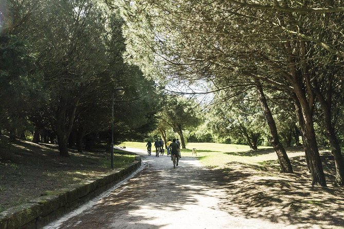 3-Hour Electric Porto Bike Tour - Group Size and Safety Measures