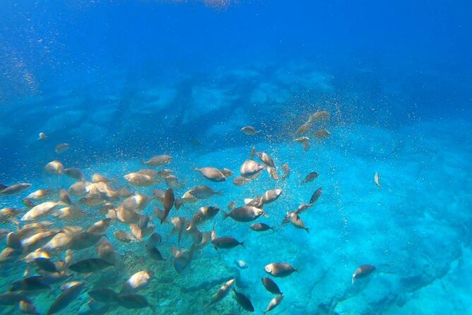 3-hour Guided Submarine Tour in Saint Pauls Bay, Lindos and Navarone Bay - Pickup and Start Time