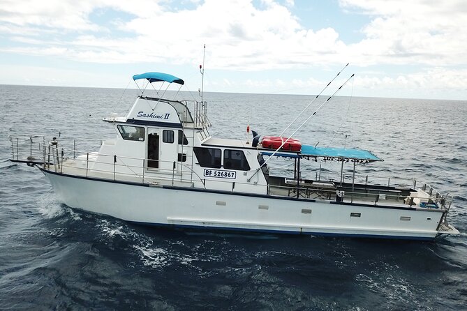 3-Hour Honolulu Bottom Fishing Adventure - Fishing Techniques and Tips