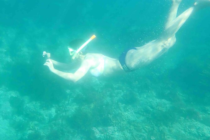 3-Hour Kayak and Snorkeling Experience in Batemans Bay - Whats Included