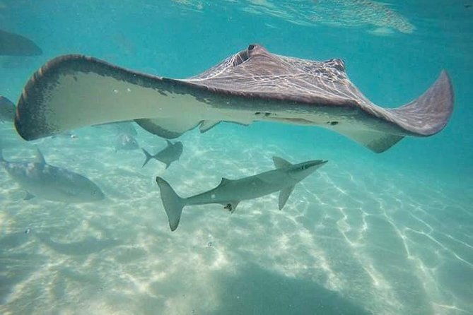 3-hour Lagoon Snorkeling Tour - Private Tour - Directions