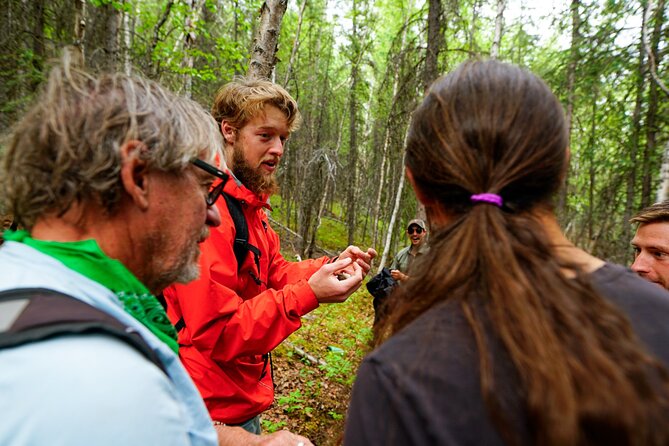 3 Hour Naturalist Walking Tour in Denali National Park - The Sum Up