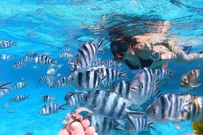 3-Hour Private Lagoon Tour Bora Bora - Cancellation Policy