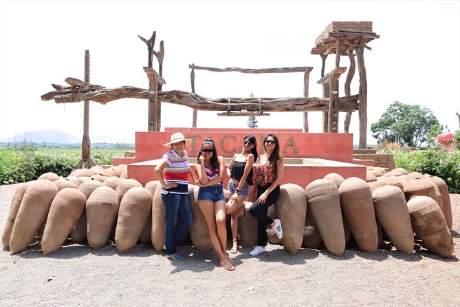 3-Hour Wine and Pisco Tour / Tacama and El Catador - Winery Visits