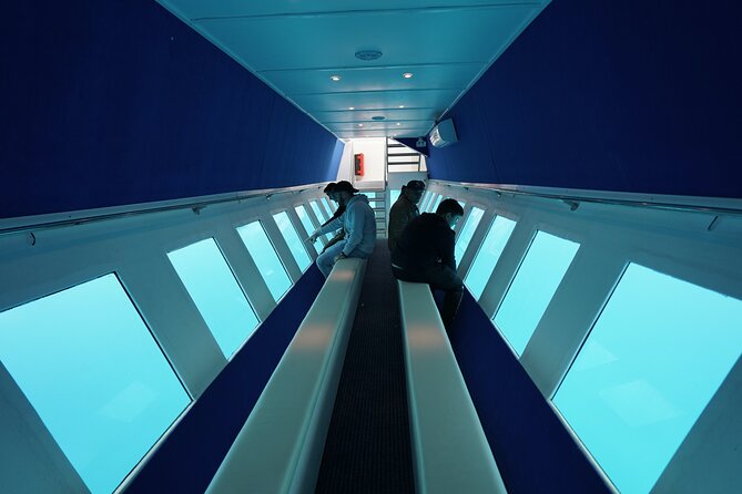 3 Hour Yellow Semi Submarine Swimming Cruise With Drinks Included! - On-Board Drinks and Relaxation