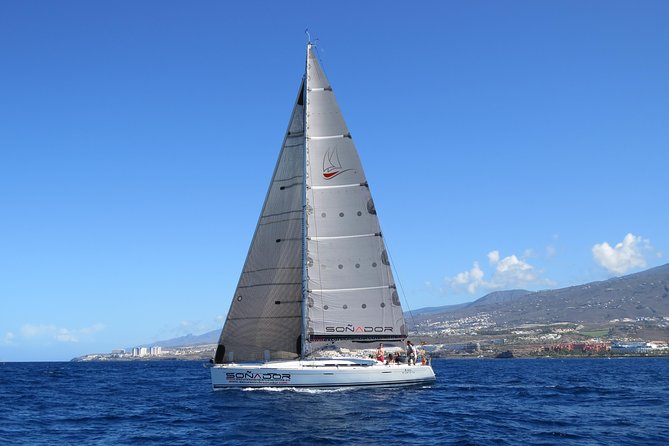 3 Hours All Inclusive Whale and Dolphin Whatching Yacht Trip - Weather and Minimum Requirements