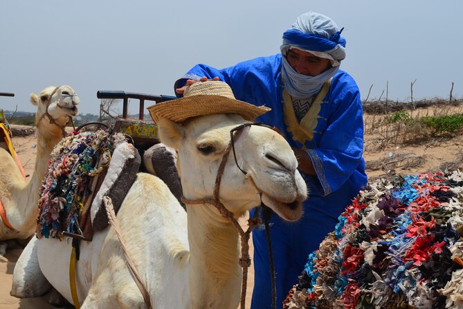 3 Hours Camel Ride in Essaouira, Beach and Dunes - Tour Details and Highlights