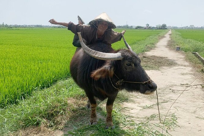 3 Hours Hoi An Countryside Bicycle Tour - Professional Guides and Support