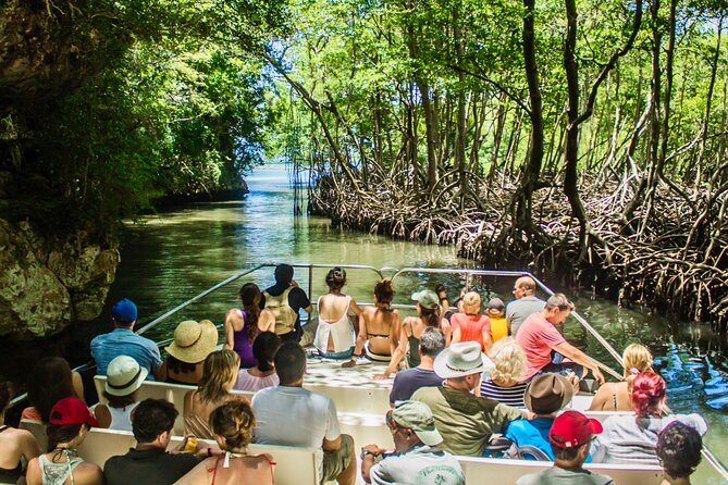 3 in 1 Full-Day Los Haitises N Park & Yanigua SPA From Punta Cana - Full-Day Tour From Punta Cana: Experience the Best of Both