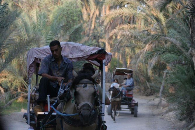 3DAYS 4x4 Safari From Sousse/Hammamet/Tunis 100km Deep in Desert Camp - Date and Travelers