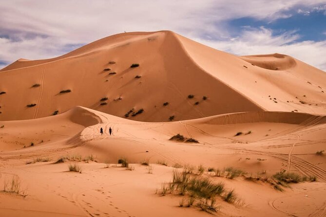 4 Day Desert Tour From Marrakech to Fez - Accommodation and Meals
