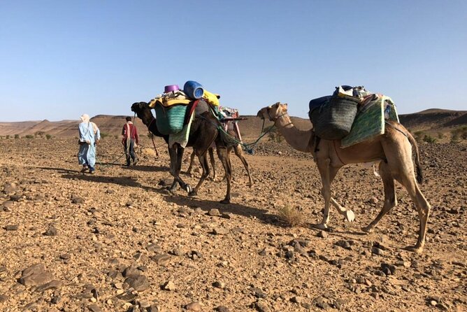 4 Day Private Desert Trek From MHamid to Chegaga - Inclusions and Exclusions
