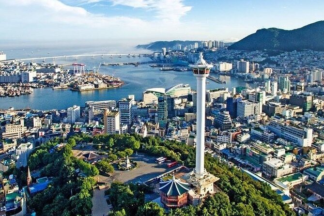 4-Day Private Guided Tour of Busan, Gyeongju and Geoje Island - Selecting Date and Travelers