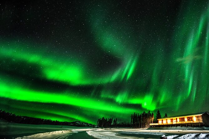 4 Day Tour in Aurora Cabin From Whitehorse - Reviews