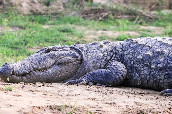 4 Days Bardia National Park Tour - Inclusions and Accommodations