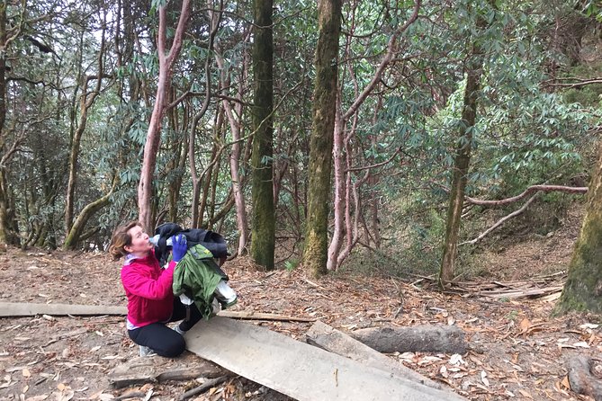 4 Days Poon Hill Trek - Traveler Reviews and Ratings