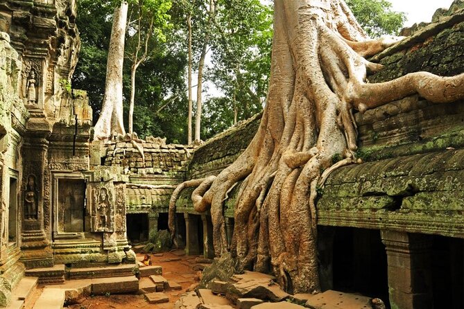 4 Days Private Round Trip Bangkok Angkor Wat by Bus and Private Vehicle - Additional Information