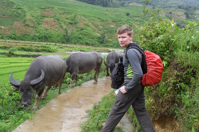 4 Days Trekking From Heavens Gate to Muong Hoa Valley - Pricing and Booking Information