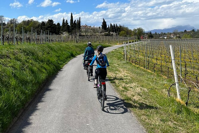 4-Hour Guided E-bike Tour of the Two Wineries in Bardolino - Visit the First Winery