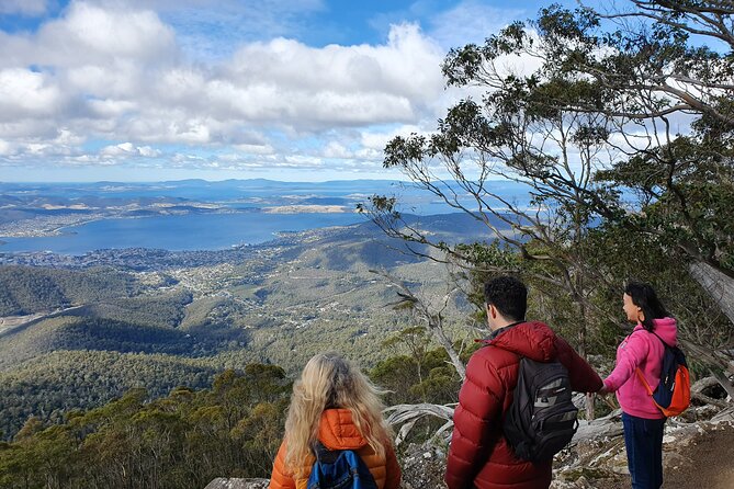 4-Hour Mt Wellington Arrival Tour With Organ Pipes Walk - Organ Pipes Walk