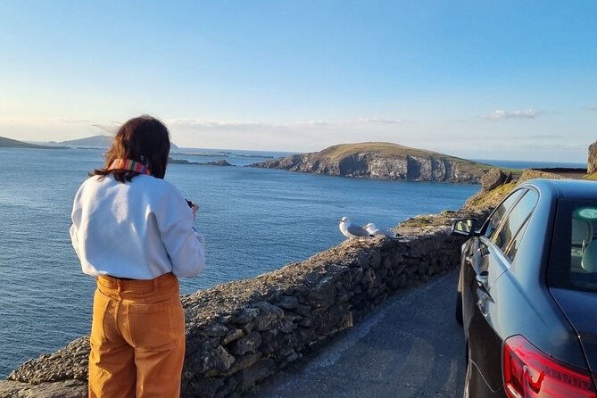 4 Hour Slea Head Drive Tour - Personal Chauffeur Guided Tour - Pickup Information