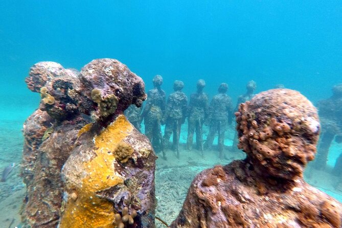 4-Hour Snorkel Cruise to Underwater Sculptures With Boat Dogs - Additional Information